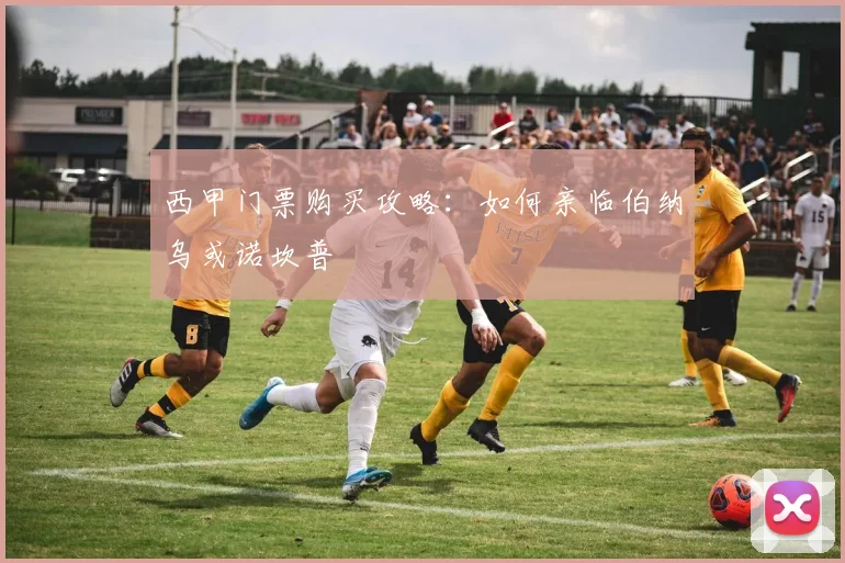 西甲门票购买攻略：如何亲临伯纳乌或诺坎普