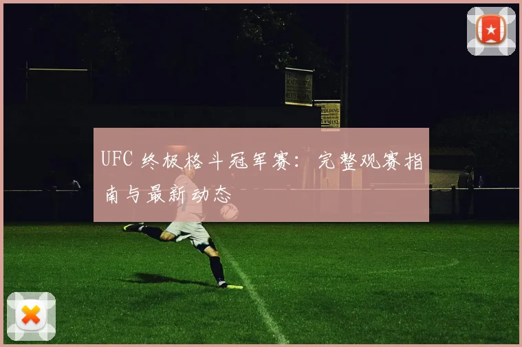 UFC 终极格斗冠军赛：完整观赛指南与最新动态